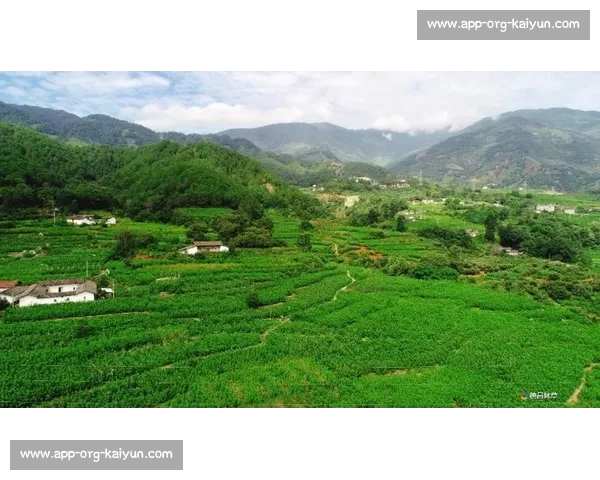 绿动浙江：体育经济的生态突围